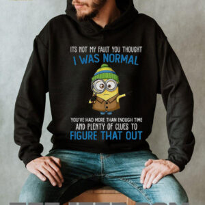 Minion it’s not my fault you thought I was normal you’ve had more than enough time and plenty of clues shirt