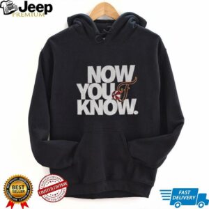 Now You Know Indiana Fever Basketball WNBA logo gift for fans shirt