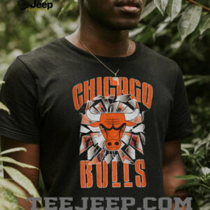 Pro Standard Bulls Shattered Backboard T Shirt