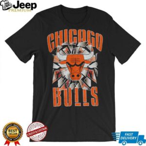 Pro Standard Bulls Shattered Backboard T Shirt