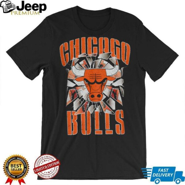 Pro Standard Bulls Shattered Backboard T Shirt