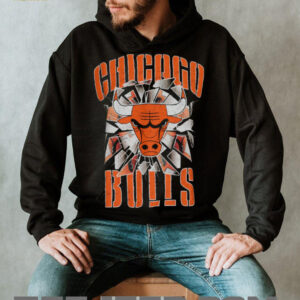 Pro Standard Bulls Shattered Backboard T Shirt