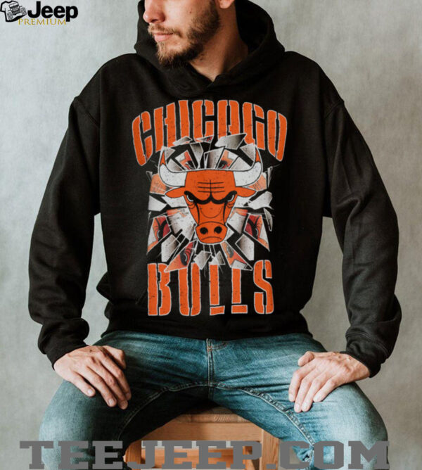 Pro Standard Bulls Shattered Backboard T Shirt