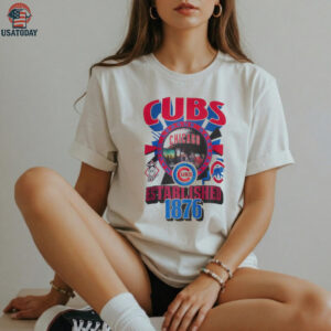Washington Football Skull Vintage  Football Game Day Unisex Shirt