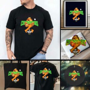 Team Falcons are here Champions 2025 shirt