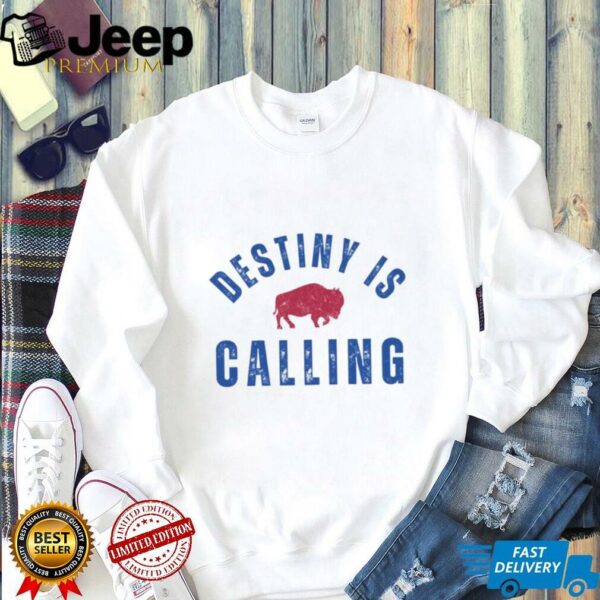Vintage Distressed Destiny is Calling Football Backers Tailgate Shirt