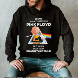 Charlie Brown and Snoopy i don’t always listen to Pink...