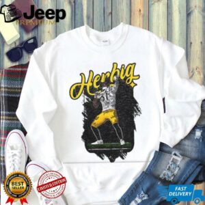 Nick Herbig Pittsburgh Steelers Football NFL 2025 art shirt Nick Herbig Pittsburgh Steelers Football NFL 2025 art shirt