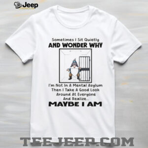 Gnome sometimes I sit quietly and wonder why I’m not in a mental asylum then I take a good look around shirt