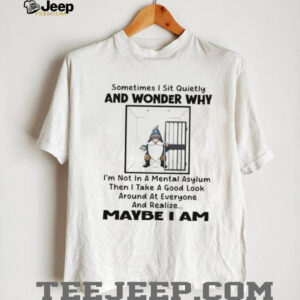 Gnome sometimes I sit quietly and wonder why I’m not in a mental asylum then I take a good look around shirt