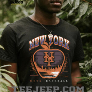 New York Mets Regional '47 Franklin T Shirt Hoodie