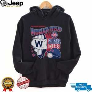 Official Chicago Cubs Regional '47 Franklin T Shirt