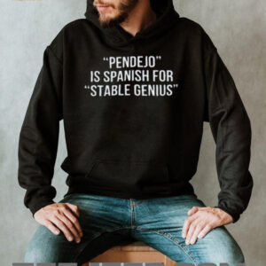 Pendejo Is Spanish For Stable Genius T shirt