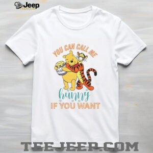Winnie the Pooh you can call me hunny if you want shirt