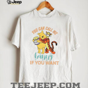 Winnie the Pooh you can call me hunny if you want shirt