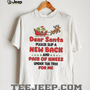 Dear Santa Please Slip A New Back And Pair Of Knees Under The Tree For Me T Shirt
