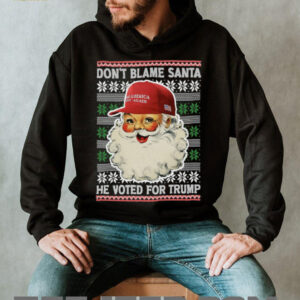 Don't Blame Santa He Voted For Trump Ugly Sweater, Republican Shirt, Trump 2024 Shirt, Trump Supporters Christmas Shirt T1399