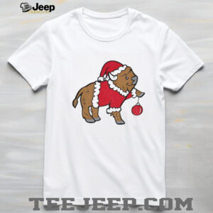 Funny Buffalo holding Christmas bauble Buffalo Bills NFL Football 2025 Christmas shirt