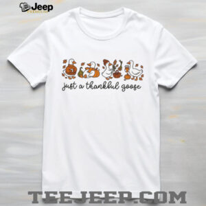 Funny Cute Pumpkin Spice Thanksgiving Goose shirt