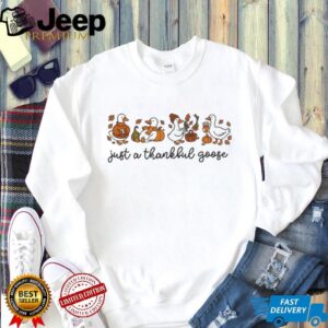 Funny Cute Pumpkin Spice Thanksgiving Goose shirt