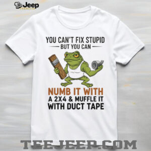 Funny frog you can’t fix stupid but you can numb it with a sx4 and muffle it with duct tape shirt