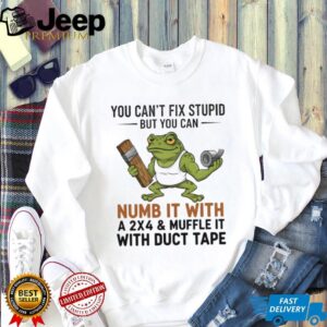 Funny frog you can’t fix stupid but you can numb it with a sx4 and muffle it with duct tape shirt