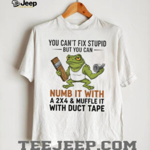 Funny frog you can’t fix stupid but you can numb it with a sx4 and muffle it with duct tape shirt