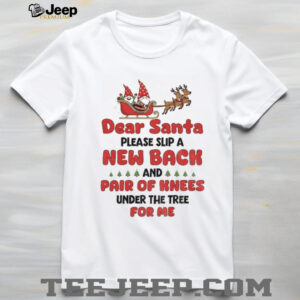 Gnome Xmas dear Santa please slip a new back and pair of knees under the tree for me Merry Christmas shirt