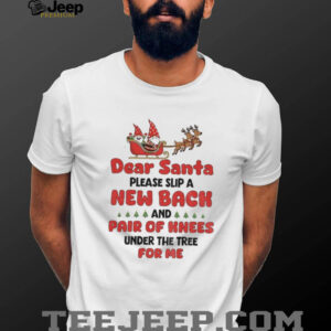 Gnome Xmas dear Santa please slip a new back and pair of knees under the tree for me Merry Christmas shirt