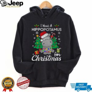 I Want A Hippopotamus For Christmas Cute Gift Xmas Costume T Shirt