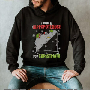I Want A Hippopotenuse For Christmas Math Lover Hippopotamus shirt