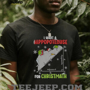 I Want A Hippopotenuse For Christmas Math Lover Hippopotamus shirt