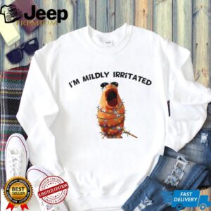 I’m Mildly Irritated Funny Marcus The Worm Xmas shirt