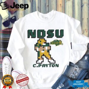 North Dakota State University NFL Football 8Bit shirt
