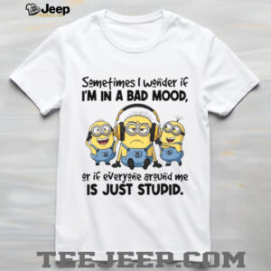 Sometimes I Wonder If I’m In A Bad Mood, Ör If Everyöne Aröund Me Is Just Stupid. T Shirt