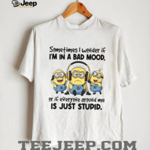 Sometimes I Wonder If I'm In A Bad Mood, Ör If Everyöne Aröund Me Is Just Stupid. T Shirt