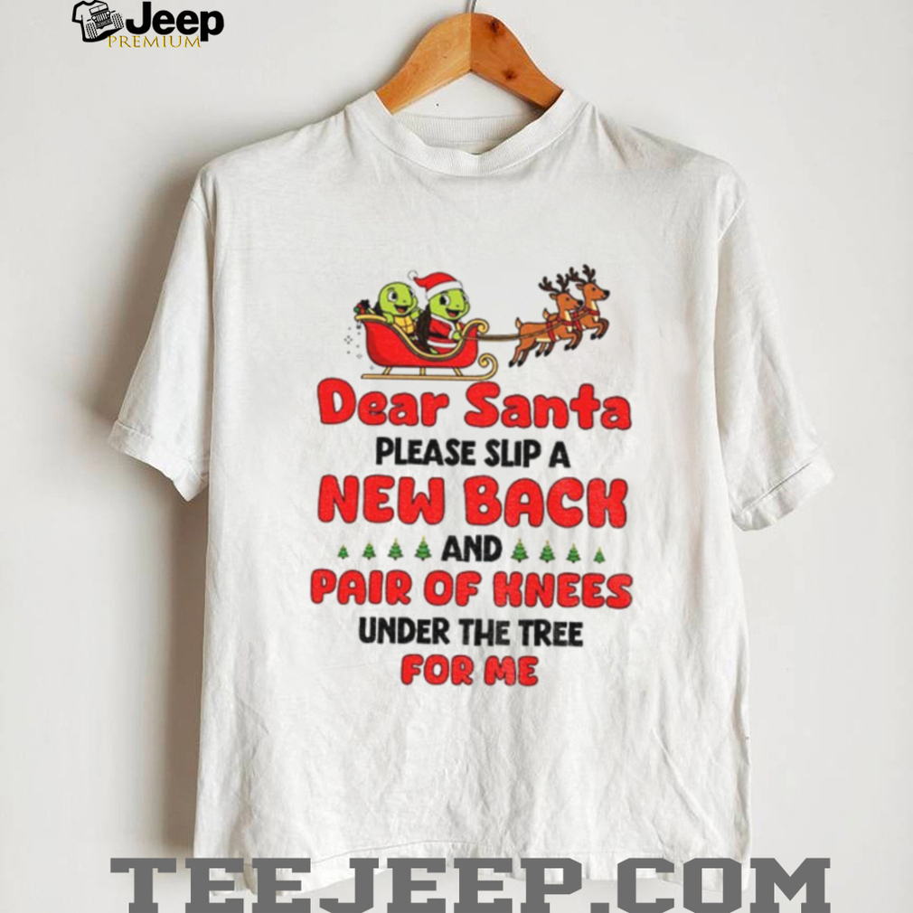 Turtle Santa Claus dear Santa please slip a new back and pair of knees under the tree for me Merry Christmas shirt Turtle Santa Claus dear Santa please slip a new back and pair of knees under the tree for me Merry Christmas shirt