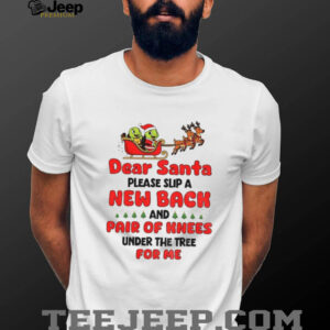 Turtle Santa Claus dear Santa please slip a new back and pair of knees under the tree for me Merry Christmas shirt