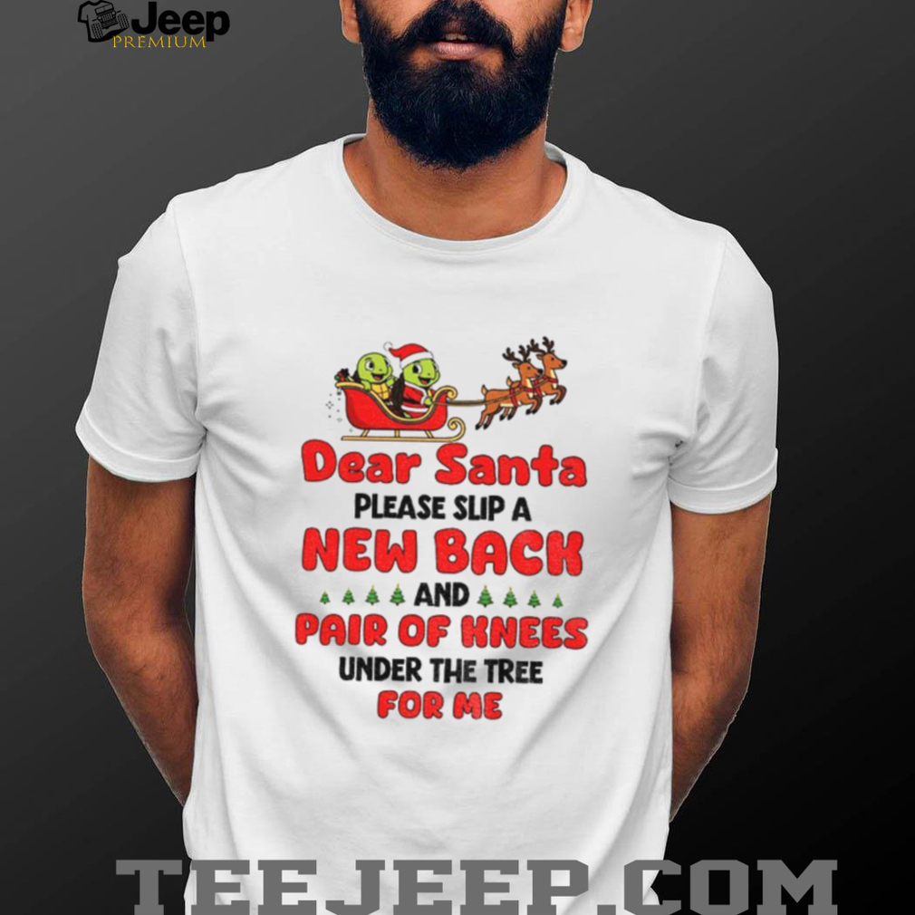 Turtle Santa Claus dear Santa please slip a new back and pair of knees under the tree for me Merry Christmas shirt Turtle Santa Claus dear Santa please slip a new back and pair of knees under the tree for me Merry Christmas shirt