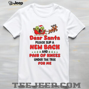Turtle Santa Claus dear Santa please slip a new back and pair of knees under the tree for me Merry Christmas shirt