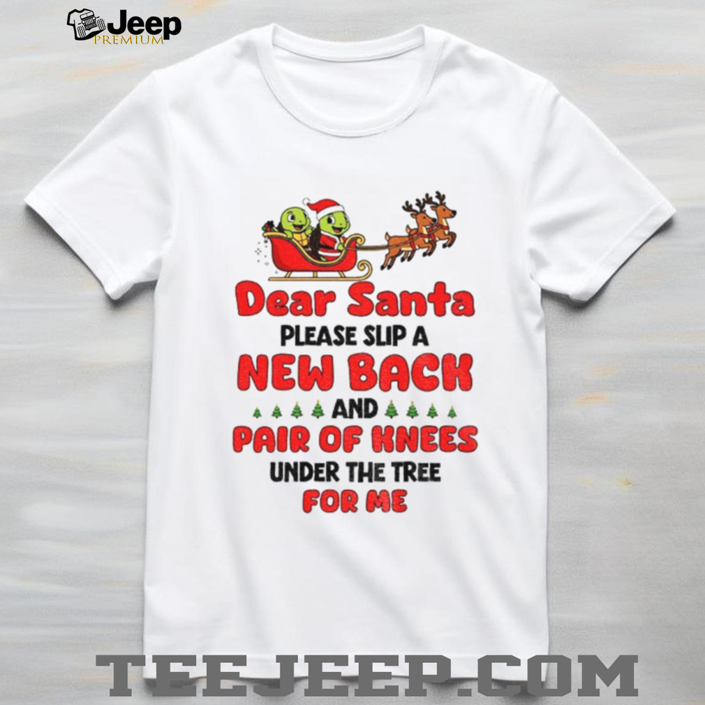 Turtle Santa Claus dear Santa please slip a new back and pair of knees under the tree for me Merry Christmas shirt Turtle Santa Claus dear Santa please slip a new back and pair of knees under the tree for me Merry Christmas shirt