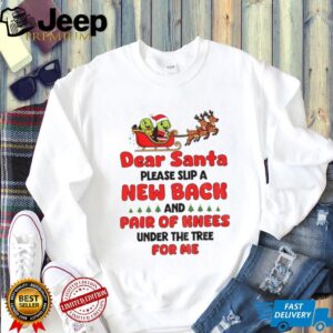 Turtle Santa Claus dear Santa please slip a new back and pair of knees under the tree for me Merry Christmas shirt
