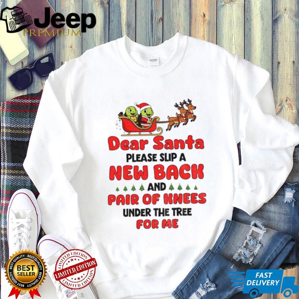 Turtle Santa Claus dear Santa please slip a new back and pair of knees under the tree for me Merry Christmas shirt Turtle Santa Claus dear Santa please slip a new back and pair of knees under the tree for me Merry Christmas shirt