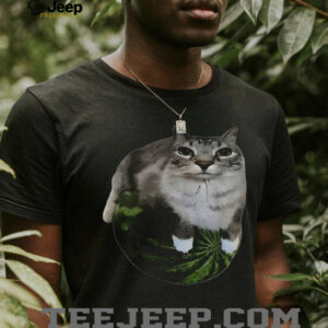 Watermelon cat funny shirt