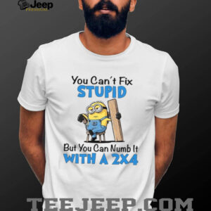 You Can’t Fix Stupid But You Can Numb It With A 2X4 T Shirt You Can’t Fix Stupid But You Can Numb It With A 2X4 T Shirt