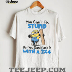 You Can't Fix Stupid But You Can Numb It With A 2X4 T Shirt