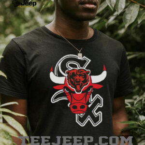 Chicago Bulls and Bears Mashup Shirt