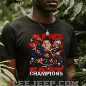 New England Patriots NFL Football AFC East Champions graphic shirt New England Patriots NFL Football AFC East Champions graphic shirt