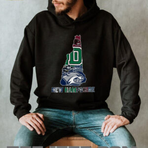 New Hampshire Saint Anselm Hawks State Pride T Shirt