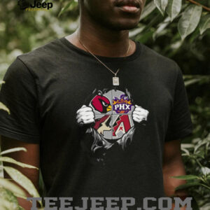 Phoenix Cardinals Suns Diamondbacks T Shirt